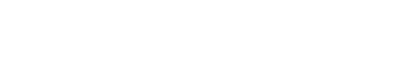 Tecnamind Consulting